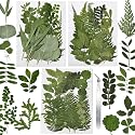 63 Pcs Dried Flowers for Resin 21 Styles Pressed Leaves