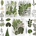 63 Pcs Pressed Leaves, 21 Styles Dried Flowers for Resin