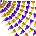 65FT Purple Gold Triangle Pennant Banner Flag Metallic Fabric Bunting Garland for Christmas Graduation Wedding Engagement Anniversary Bachelorette Birthday Bridal Shower Valentines Hen Party Supplies