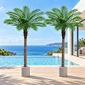 6FT Artificial Phoenix Palm Tree 2Pcs, Faux Palm Trees Indoor
