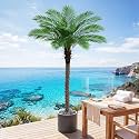 6FT Artificial Phoenix Palm Tree for Outdoors, Tall Fake Palm Tree