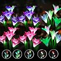 6Pack Solar Flowers Lights,7 Color Changing 24 Big Head Solar Lily Flowers