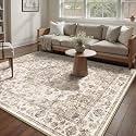 6x9 Brown Neutral Area Rug