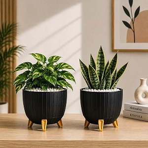 7 Inch Plastic Flower Pot for Indoor