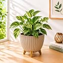 7 Inch Plastic Flower Pot for Indoor