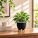 7 Inch Plastic Flower Pot for Indoor