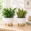 7 Inch Plastic Flower Pot for Indoor