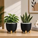 7 Inch Plastic Flower Pot for Indoor