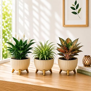 7 Inch Plastic Gamala for Indoor Outdoor