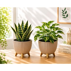7 Inch Plastic Gamala for Indoor Outdoor