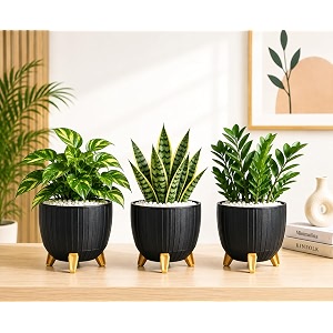 7 Inch Plastic Gamala for Indoor Outdoor