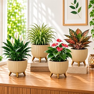 7 Inch Plastic Gamala for Indoor Outdoor