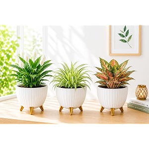 7 Inch Plastic Gamala for Indoor Outdoor