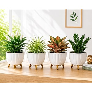 7 Inch Plastic Gamala for Indoor Outdoor