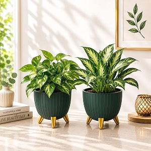 7 Inch Plastic Gamala for Indoor Outdoor