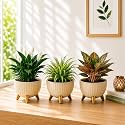 7 Inch Plastic Gamala for Indoor Outdoor