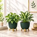 7 Inch Plastic Gamala for Indoor Outdoor