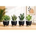 7 Inch Plastic Gamala for Indoor Outdoor