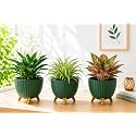 7 Inch Plastic Gamala for Indoor Outdoor