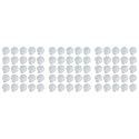 75Pcs Natural Scallop Shell, Special for Handmade DIY Production Handmade DIY Coloring Shell