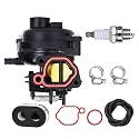 799584 Carburetor Kit Fit for B&S Carb 592361/594057/ 594058/594529, Fits for TB110 TB200 lc121p P702 09P702 163cc Riding Push Lawn Mower Engine