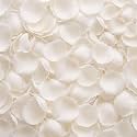 8.8oz Dried Real White Rose Petals Freeze Preserved Flower Petal