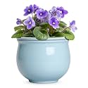 8 Inch African Violet Pots, Ceramic Self Watering Pots, Light Blue