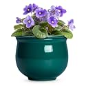8 Inch Ceramic Self-Watering Flower Pots, Blackish Green