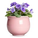 8 Inch Ceramic Self Watering Planter with Absorbent Inner Pot, Pink
