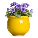 8 Inch SelfWatering Plant Pots, Ceramic Flower Pots, Yellow