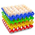 8-Pack Plastic Egg Tray Egg Crate, 30-Egg Flats for Home Chicken Farmers, Stackable & Durable, Great for Storing, Sorting & Shipping, and Reusable