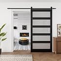 5-Lite Frosted Glass Paneled Black Barn Door, 30" x 84"