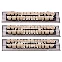 84 PCS Acrylic Resin Teeth Dental Denture Dental Synthetic Resin Teeth Denture Halloween Horror Prop 23 A2 ((28 Pcs/3 Set))