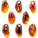 8pcs Amber Fossils with Insects Samples Stones Crystal Samples for Home Decorations Collections Oval Pendants Pendant Science Educational (8 Pcs)