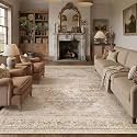 8x10 Beige Farmhouse Area Rug
