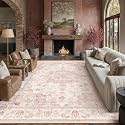 8x10 Pink Neutral Area Rug