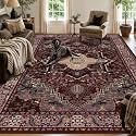 9x12 Burgundy Red and Black Vintage Boho Oriental Soft Washable Area Rug