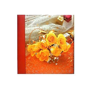AADINATH ORIGINAL Plastic Photo Album 4x6 inch