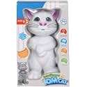 Aarav Toys Cat Toy for Kids Intelligent Speaking Repeats What You Say - Birthday Gift for Boy and Girl, Multicolor