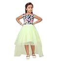 Aarika Girls Dress