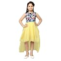 Aarika Girls Dress