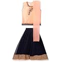 Aarika Girl39s Tissue Lehenga Choli Set