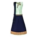 Aarika Girl39s Tissue Lehenga Choli Set