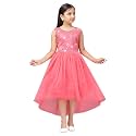 Aarika Girls Gajri Color Net Frock