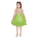 Aarika Girls Lime Green Color Net Frock