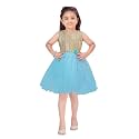 Aarika Girls Lime Green Color Net Frock