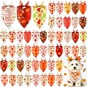 Abbylike 50 Pcs Fall Dog Bandanas Bulk
