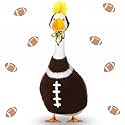Abbylike Football Porch Goose Outfits Fit 23" Cement Plastic Statue