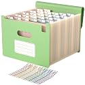 ABC life 26 Pockets Accordion File Organizer, Meadow Green