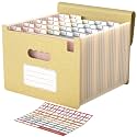 ABC life 26 Pockets Accordion File Organizer, Butter Yellow